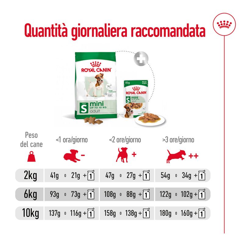 2x8kg Royal Canin Mini Adult - Crocchette per Cani 2x8kg Royal Canin Mini Adult - Crocchette per Cani